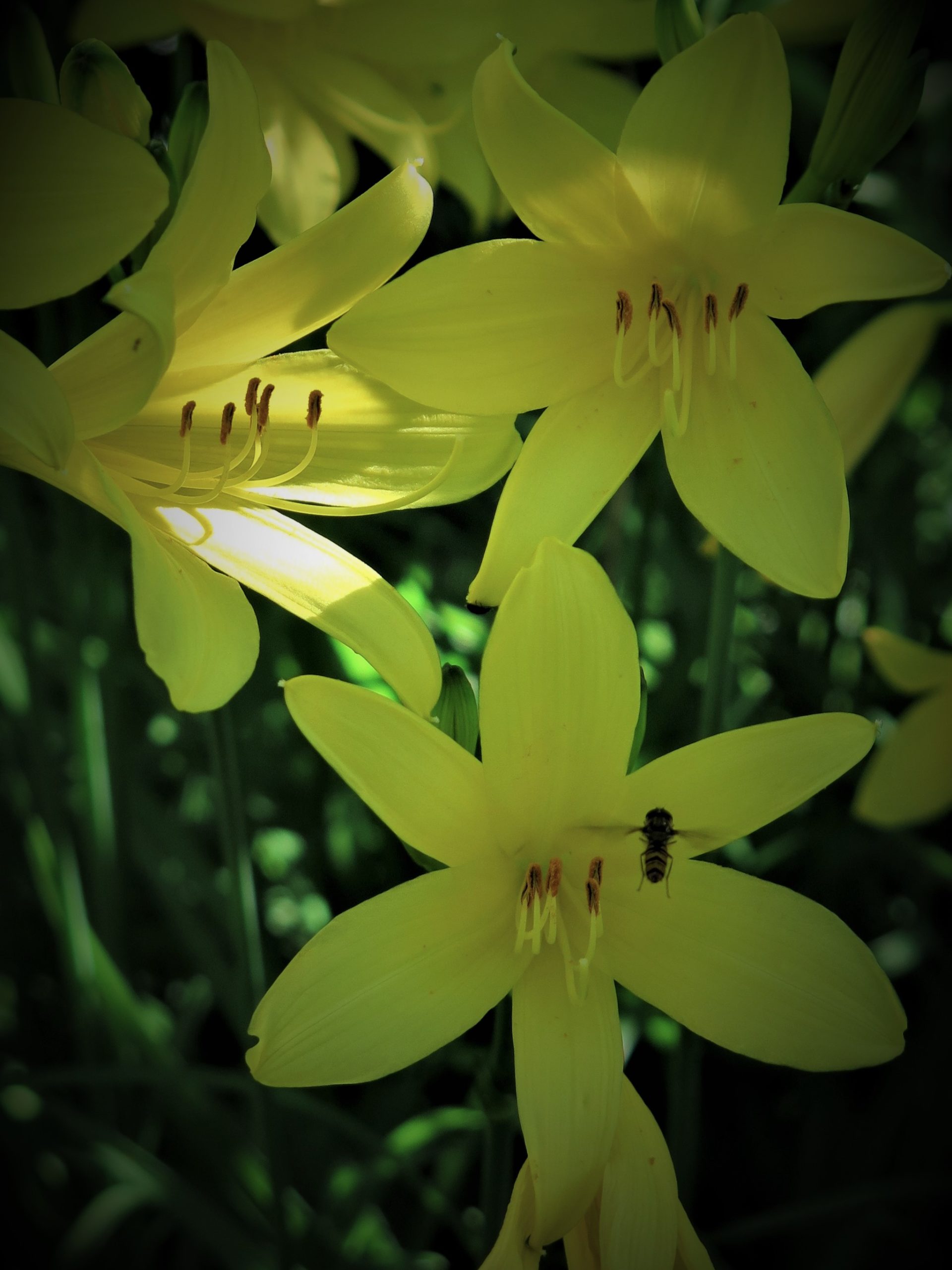 Samedi 13 juin de 9h à 16h Marché chez ResSources à Bretonnières