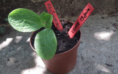 Marché « découvertes » à Bretonnières samedi 19 juin 2021 de 9h-16h