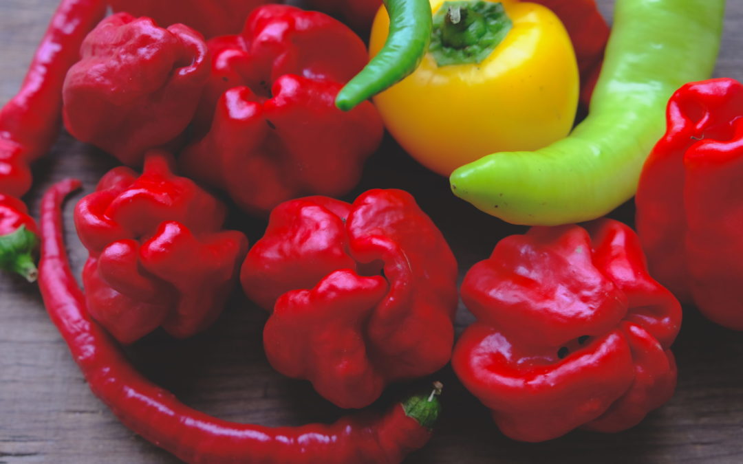 Beau comme un poivron (ou comme un piment) !