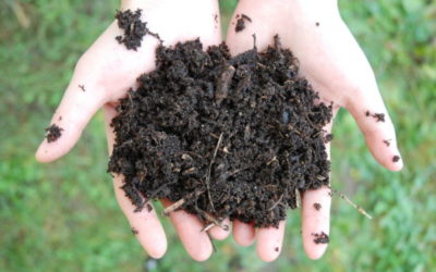 « Prendre soin de la fertilité du sol » Atelier ResSources 2022 avec Paolo Fornara.