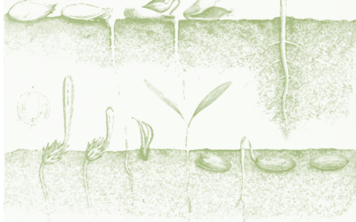 Événements autour de l’Assemblée Générale 2023 de ResSources