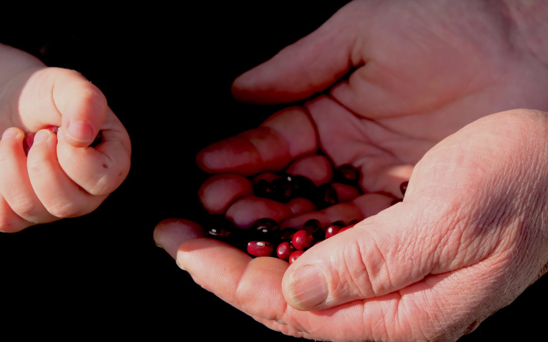 Succès de « Héros locaux » : notre recherche de fonds participative